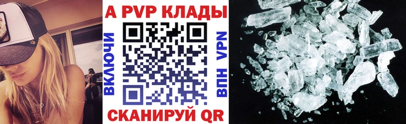 APVP СК  Олонец 
