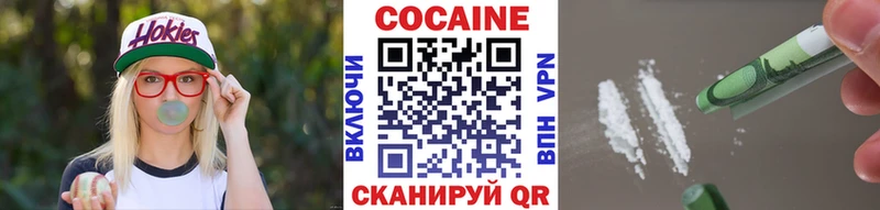 COCAIN Fish Scale  как найти закладки  Олонец 