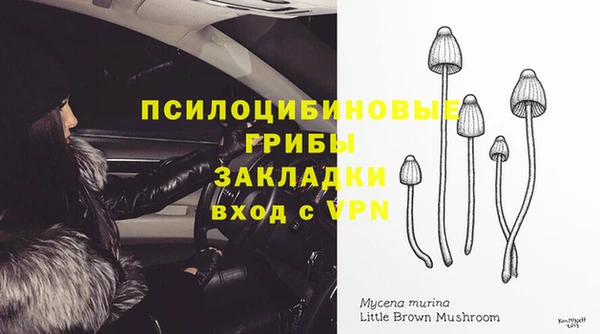 мяу мяу мука Алексеевка