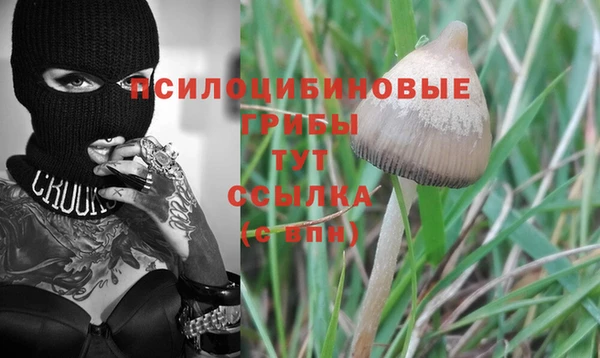 герыч Алексин