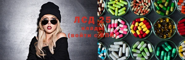дживик Алзамай